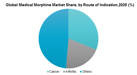 Global Medical Morphine Market Share, by Route of Indication, 2025 (%)